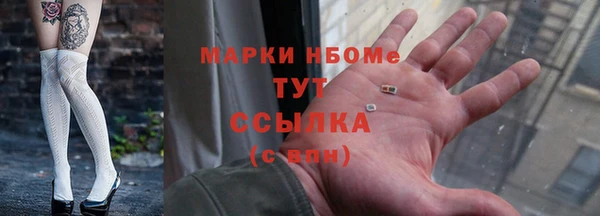 стаф Баксан