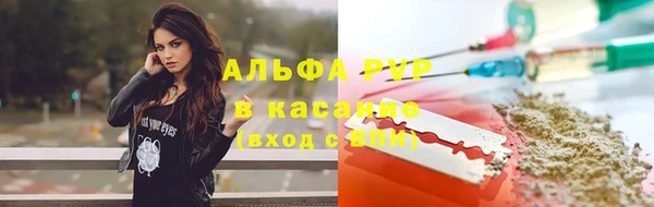 стаф Баксан