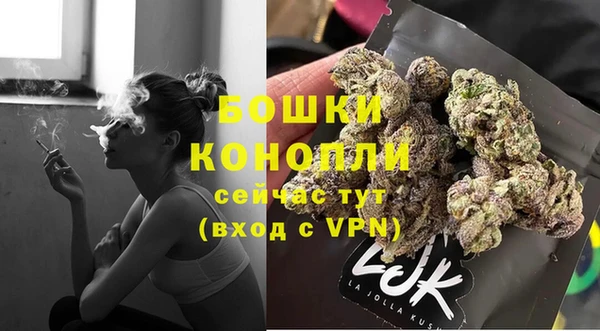 стаф Баксан