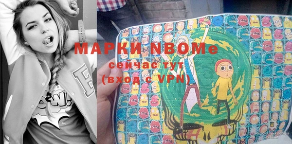 ПСИЛОЦИБИНОВЫЕ ГРИБЫ Арсеньев