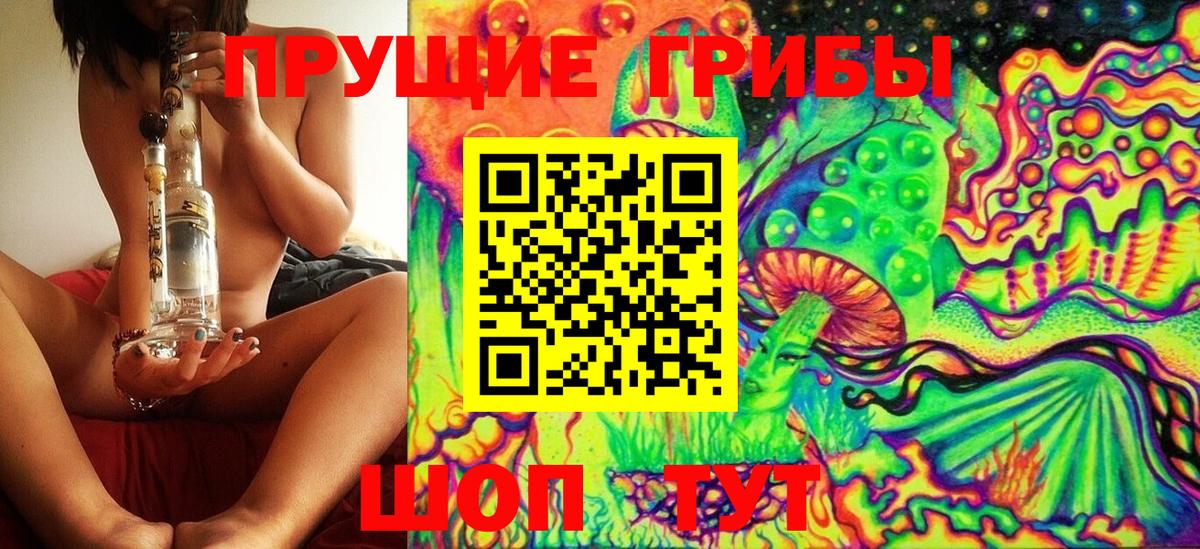 Псилоцибиновые грибы Psilocybine cubensis  Вход с VPN  Псилоцибиновые грибы GOLDEN TEACHER  Набережные Челны 