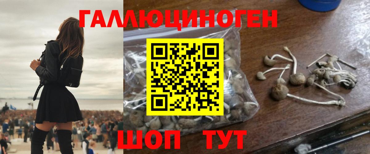 Псилоцибиновые грибы Psilocybine cubensis Набережные Челны